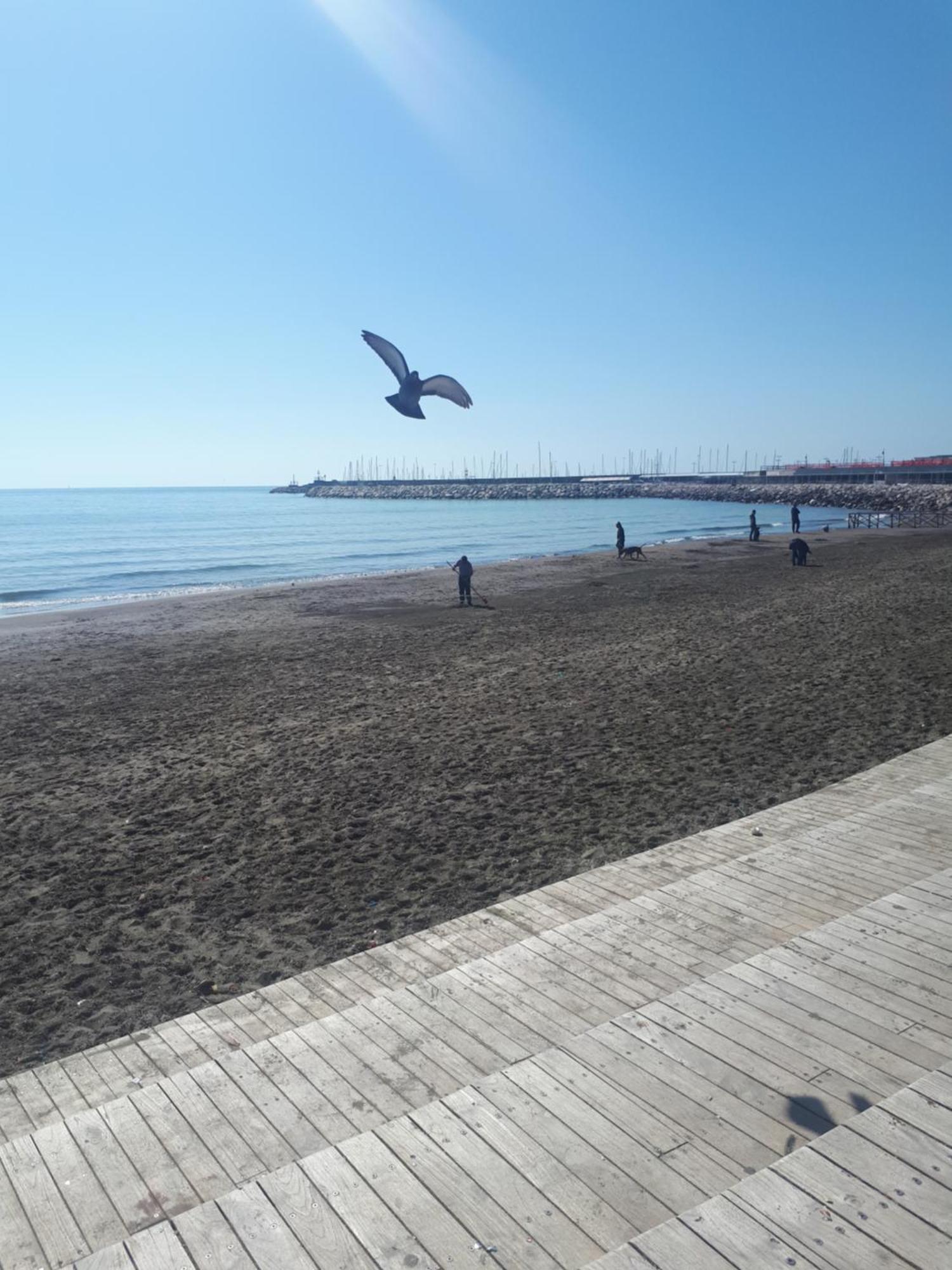 Salerno Centraal Apartment Eksteriør bilde